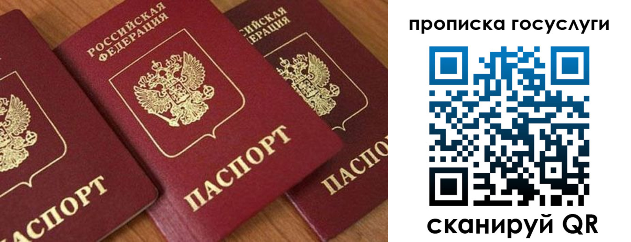 временная прописка в Боровичах